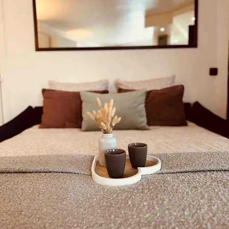 Le Versaillais Gare/chateau/wifi/netflix Apartment